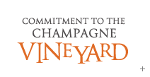 Commitment to the Champagne vineyard