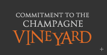Commitment to the Champagne vineyard